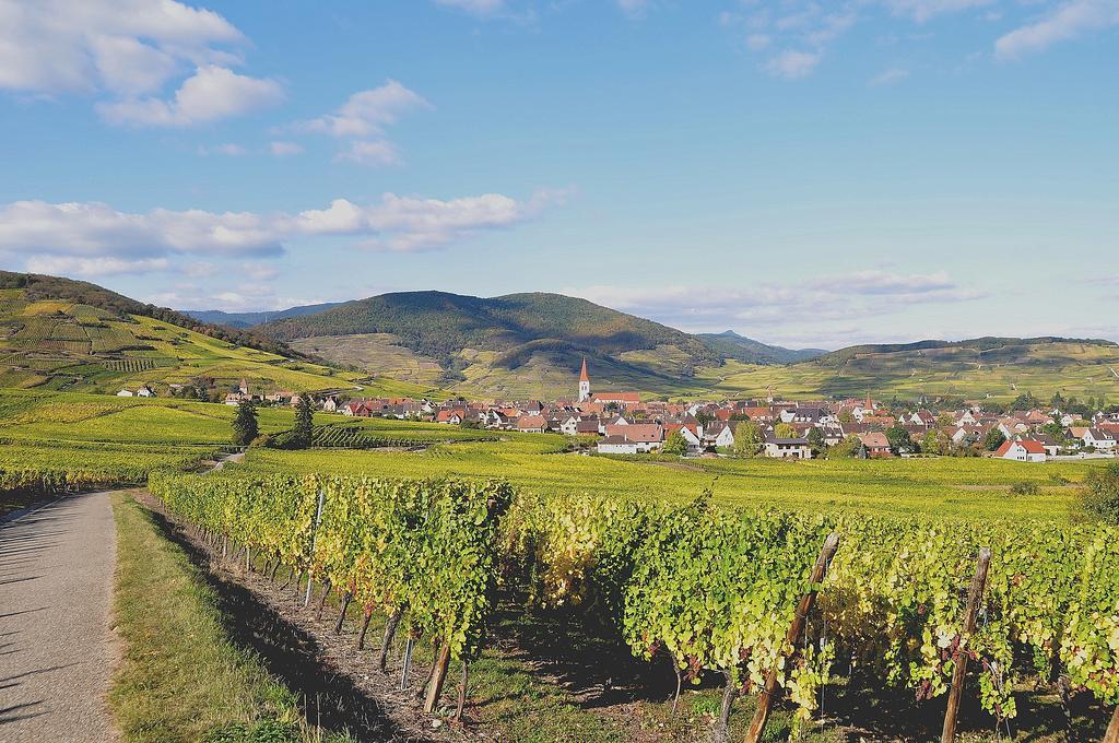 Gite Du Vignoble Ammerschwihr Eksteriør billede