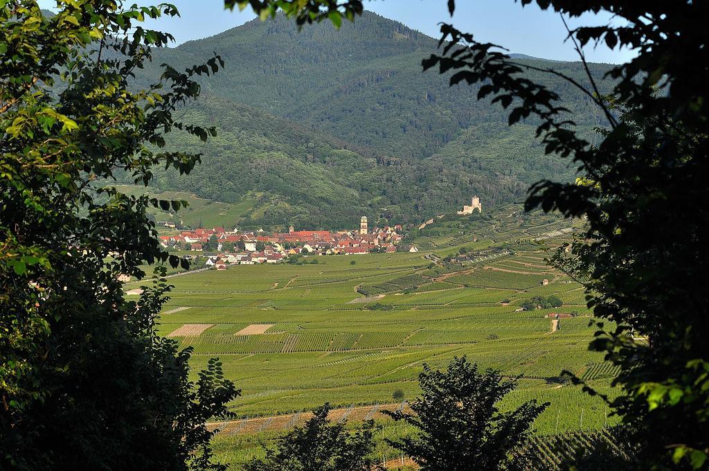 Gite Du Vignoble Ammerschwihr Eksteriør billede