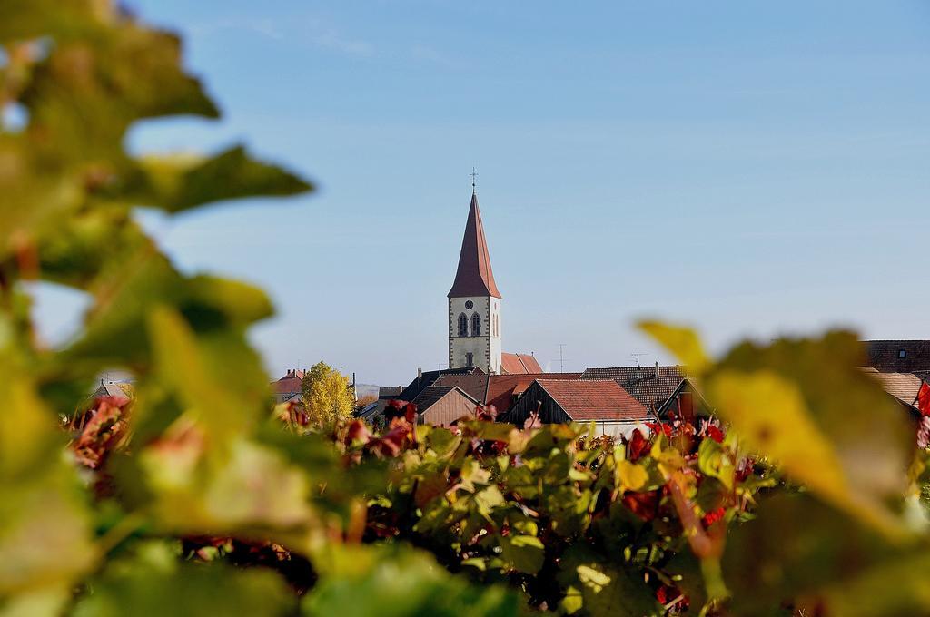 Gite Du Vignoble Ammerschwihr Eksteriør billede
